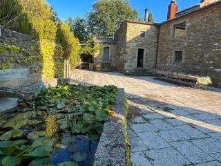 Historic Villa Among Olive Groves In Arezzo - 8