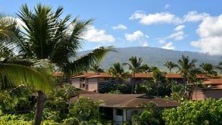 Kaleialoha 401 · KA 401 Spacious Studio w Mountain View Pool AC - 3
