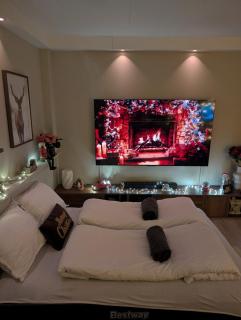 Cozy Christmas Apartment - Near Downtown - 3