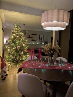 Cozy Christmas Apartment - Near Downtown - 8