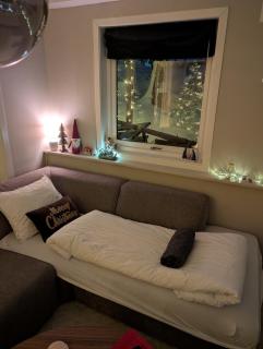 Cozy Christmas Apartment - Near Downtown - 1