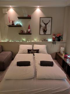 Cozy Christmas Apartment - Near Downtown - 2