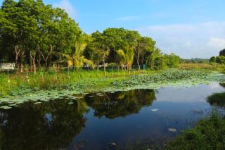 Lishan Nature Resort - Kataragama - 1