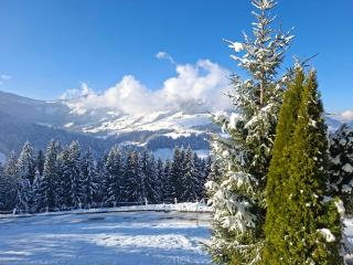 Apartment Auszeit bei Christl - 9