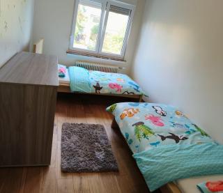 Cozy&Spacious apartment with garden - 6