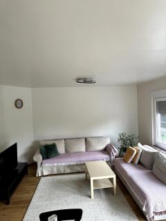 Cozy&Spacious apartment with garden - 5