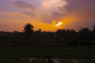 Lishan Nature Resort - Kataragama - 2