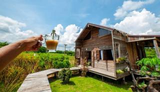 ไร่แทนคุณแผ่นดิน - 1