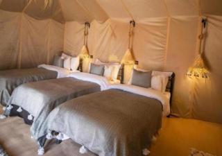 Merzouga Dunes Glamping - Merzouga - 1