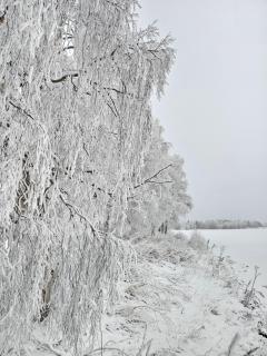 Kylpylähotelli Pohjanranta - 2