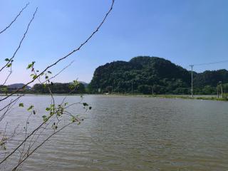 Tam Coc Sunshine Homestay - 4