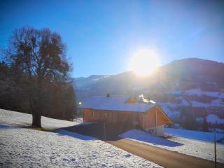 Naturchalet Forster - 3