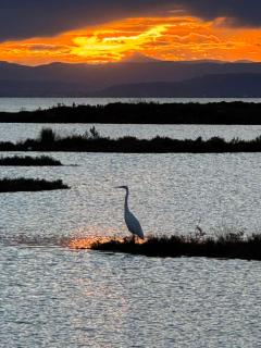 Exclusivo Chalet a Pie de Costa - 9