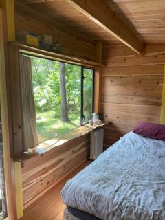 Sub Tropical Paradise Retreat - 7