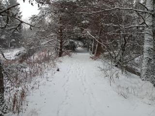 "La Voûte de Pierre" Gîte indépendant - 2