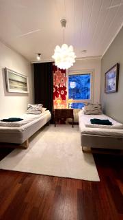 Nordic Villa with private sledding hill and fire pit - 4