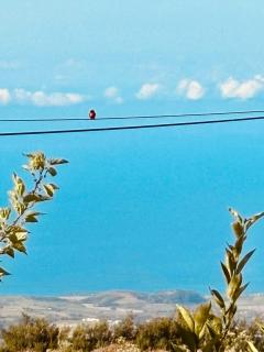 La case d'Édith - 5