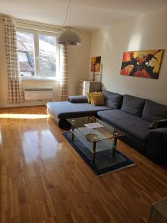 White River Brzece - Kopaonik 50m from Gondola - Free parking - 8