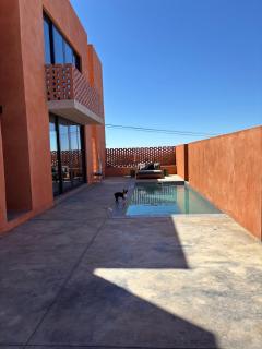 Prince Albert Tall House - 5