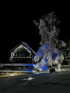 Czarne Domki Krempna - 7