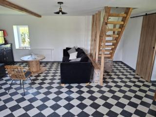 Le Lézard Flamand - 9