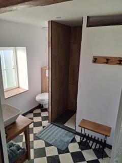 Le Lézard Flamand - 4