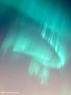 Stranda Apartment - 0