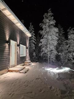 Arctic Sauna Cabin - 1