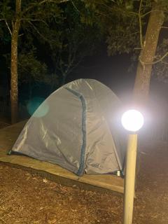 Golden Grove Treetops - 2