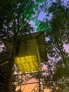 Golden Grove Treetops - Pooppara - 1