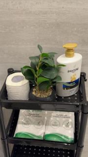 استديو حي السليمانية - 2