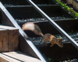 AlmaHouse Secluded Mountain Cabins - 2