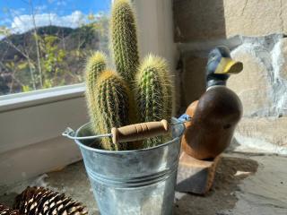 Ta Petrina Cottage - 7