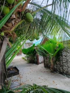 Tripo Dhiffushi Villa - 0