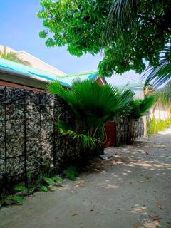 Tripo Dhiffushi Villa - 8