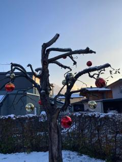 Ferienwohnung Auszeit - 6