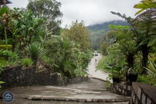 Kambana Résidence - Ranomafana - 1