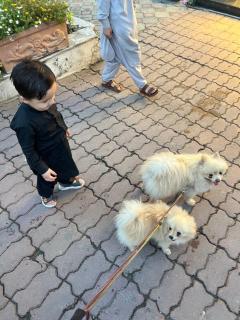 Royal Heaven Garden - 1