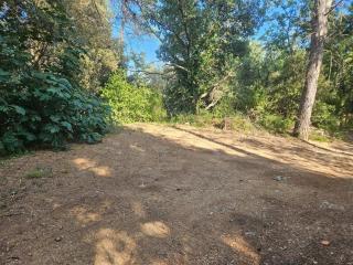 Appartement dans Maison Provençale au Calme - 6