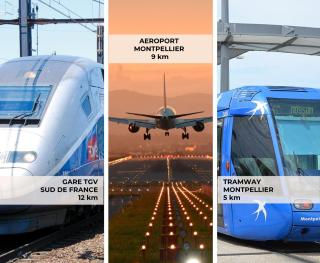 L'Oasis - T2 avec jardin - Piscine - Clim - Parking & Plage à 200m - 5