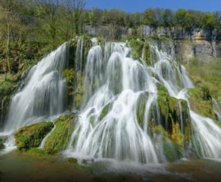 Chambre calme et verdure - 9