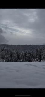 Apartament Zielone Wzgórze - 9