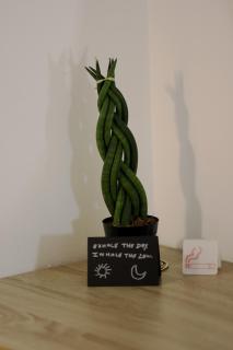 Zen Loft Getaway - 9