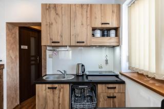 Apartament " CHWOST" w pobliżu Term- Wyciągów i Zakopanego - 2