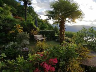"Traumhafter Blick" auf Lago Maggiore und umliegende Berge - b48575 - 7
