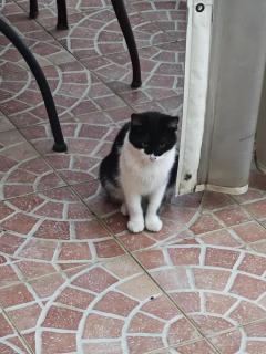 Tirreno- Finestra sul Mare - 1