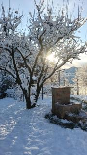 Casa vacanze IL GIRASOLE - 9