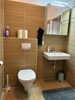 Ferienwohnung in Brigittenau - 4