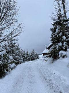 Tam Gdzie Rosną Poziomki - 8