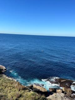 Beach Front Summer at Bondi Beach - 5